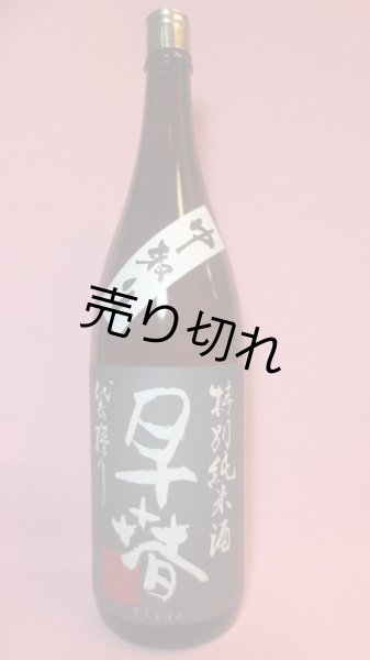 画像1: 早春　特別純米酒 (1)