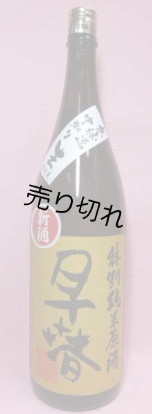 画像1: 早春　特別純米無濾過生原酒 (1)