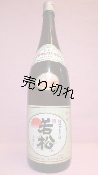 画像1: 旭若松　純米酒 (1)